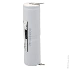 Enix - Unite(s) Batterie eclairage secours 2xD ST4 Faston 4.8mm (+2.8mm) 2.4V 4Ah