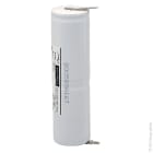 Enix - Unité(s) Batterie eclairage secours 2xD ST4 Faston 4.8mm (+2.8mm) 2.4V 4Ah