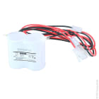 Enix - Batterie(s) Batterie eclairage secours 2xD ST1 + AMP 2.4V 4Ah