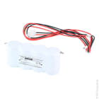 Enix - Batterie(s) Batterie eclairage secours 4xD ST1 + AMP 4.8V 4Ah