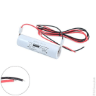 Enix - Batterie(s) Batterie eclairage secours 2xD ST4 + fils 2.4V 4Ah