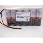 Enix - Pack(s) Batterie cyclon 0860-0109 ST1 E 12V 4.5Ah Fils