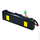 Enix - Pack(s) Batterie portes automatiques NX General Purpose (2x6V) 12V 1.2Ah PHOEN