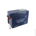 Enix - Batterie(s) Batterie tondeuse HD1230 12V 3Ah