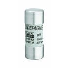 Depagne - Cartouche fusible cylindrique NF industrielle 22x58, gG avec percuteur - 80A