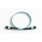 Fluke Networks - Cordon de test 1 m, MPO/MPO, broché/broché, polarité de type B