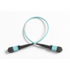 Fluke Networks - Cordon de test 0,3 m, MPO/MPO, sans broche/sans broche, polarité de type B