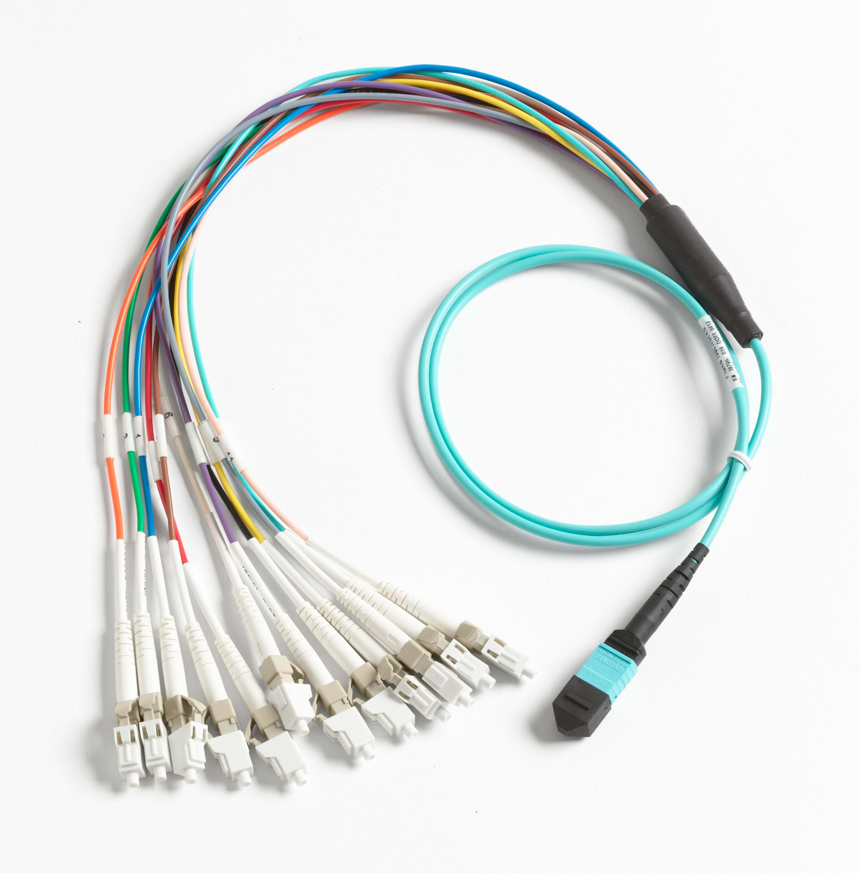 Fluke Networks - Cordon breakout 1m pour connecteur LC, MPO sans broche