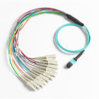 Fluke Networks - Cordon breakout 1m pour connecteur SC, MPO sans broche