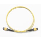 Fluke Networks - Cordon (TRC) monomode 1 m, MPOAPC/MPOAPC, broché/broché, type A