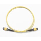 Fluke Networks - Cordon (TRC) monomode 1 m, MPOAPC/MPOAPC, broché/broché, type A