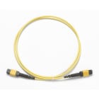 Fluke Networks - Cordon (TRC) monomode 1 m, MPOAPC/MPOAPC, sans broche/broché, type A