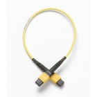 Fluke Networks - Cordon (TRC) monomode 9 µm, 0,3m, MPOAPC/MPOAPC, sans broche/sans broche, type A