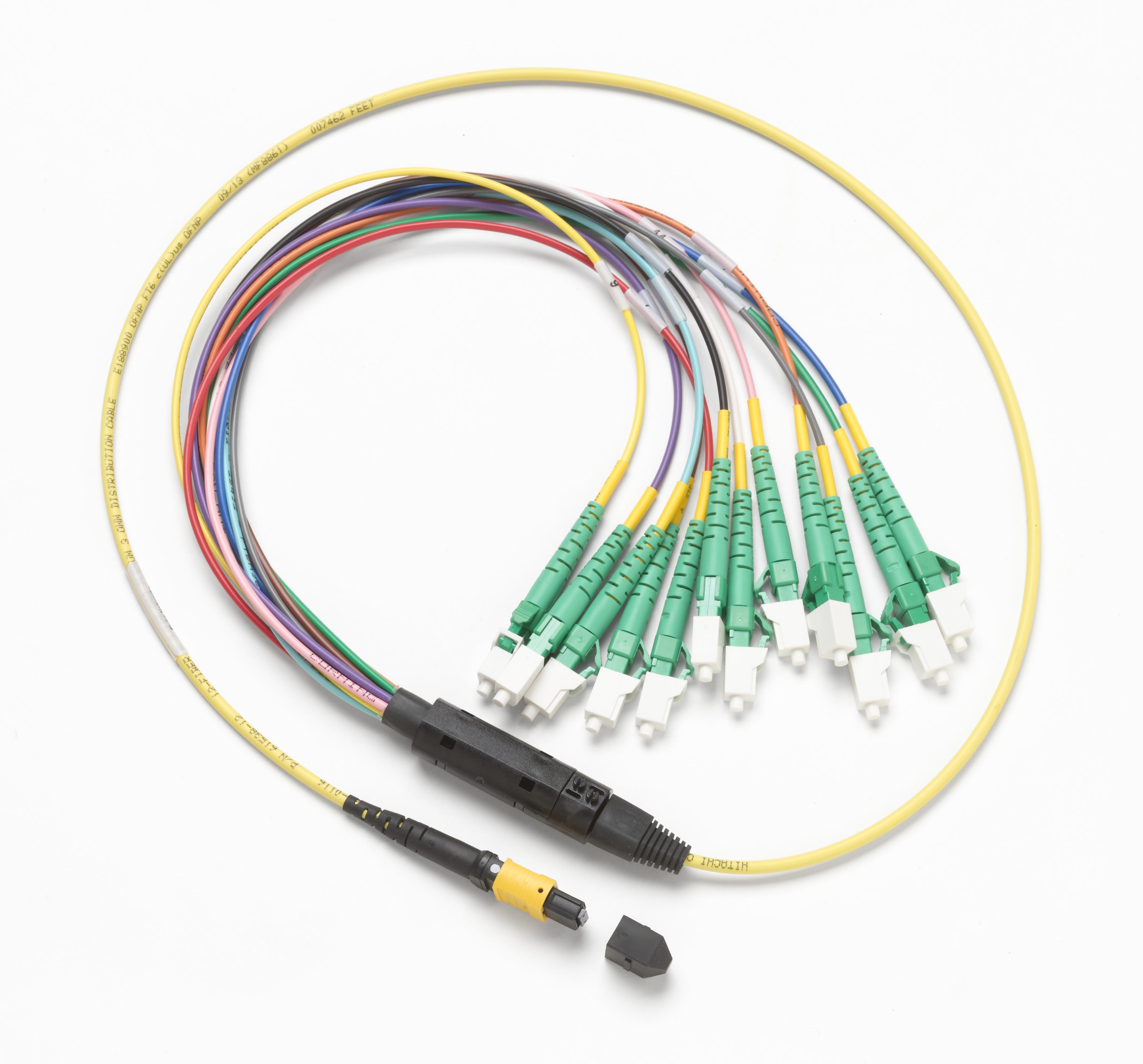 Fluke Networks - Cordon breakout 1m pour connecteur LCAPC, SM MPOAPC sans broche