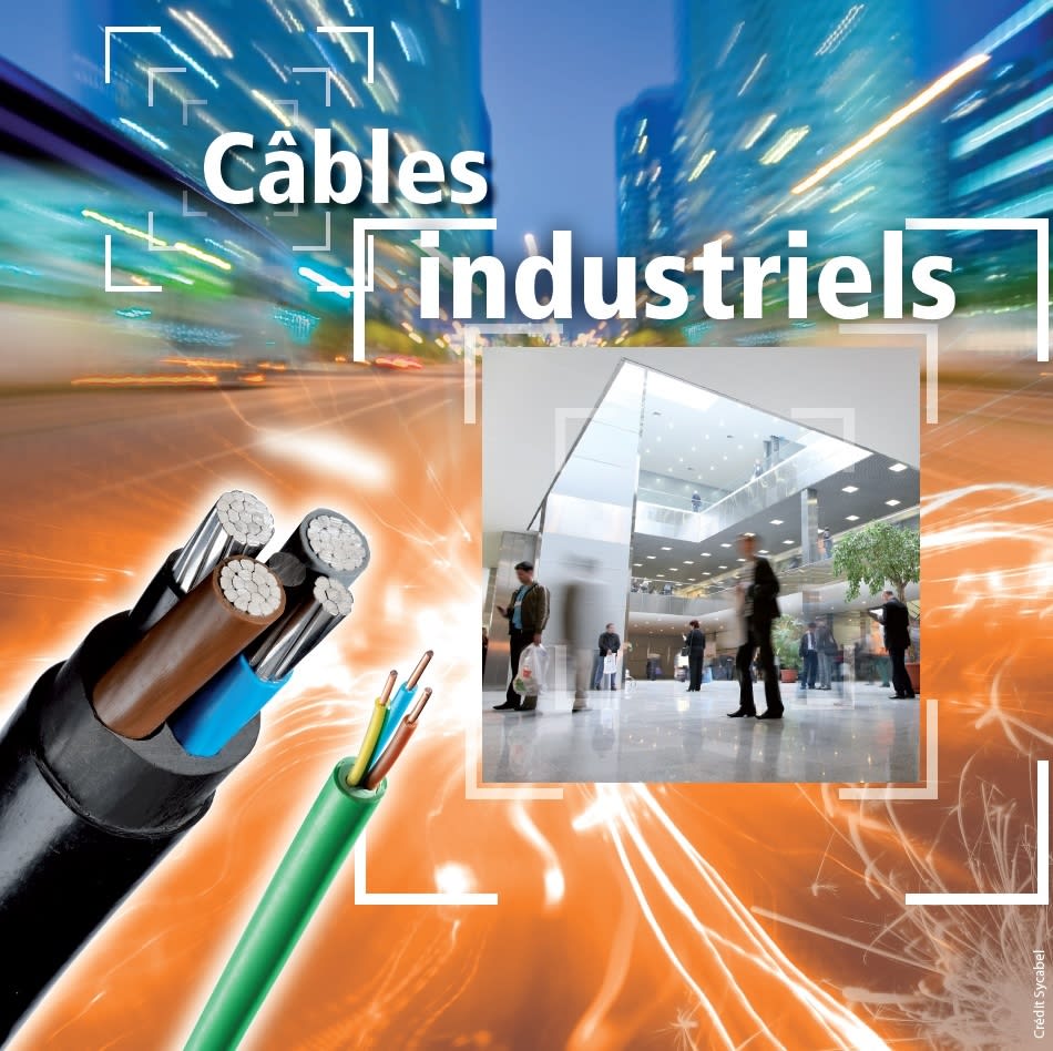 Prysmian Energie Cables & Systemes - Cable industriel rigide U1000 RVFV 27G2,5 * T