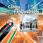 Prysmian Energie Cables & Systemes - Cable industriel rigide ARVFV 4X50 * T
