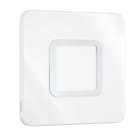 Steinel - Verrine de rechange hublot RS LED M1 Inox