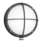 Steinel - Applique L 331 LED Avec Détecteur Anthracite