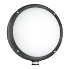 Steinel - Applique L 330 LED Avec Détecteur Anthracite