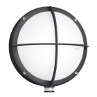 Steinel - Applique L 331 LED Avec Détecteur Anthracite