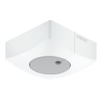 Steinel - RS DUAL-E DALI2 AP Blanc