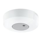 Steinel - Interrupteur crépusculaire RS DUAL-R DALI2 saillie rond Blanc