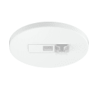 Steinel - Détecteur de présence IR Micro DALI-2 IPD Blanc portée 6x6 m