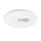 Steinel - Détecteur de présence IR Micro DALI-2 IPD Blanc portée 6x6 m