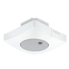 Steinel - Détecteur crépusculaire Light Sensor Dual Carré KNX V3.1 Encastré Blanc