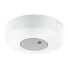 Steinel - Interrupteur crépusculaire LIGHT SENSOR DUAL-R KNX V3 saillie