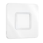 Steinel - Verrine de rechange hublot RS LED M1 Inox