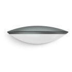 Steinel - Applique L 825 Avec Détecteur et Bluetooth Anthracite EU