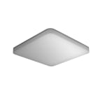 Steinel - Hublot RS PRO R20 PLUS Q Avec Détecteur et Bluetooth 4000K