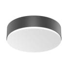 Steinel - Hublot RS PRO A20 Avec Détecteur et Bluetooth 3000K Anthracite