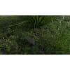 Vignette Photo produit ambiance 4