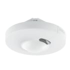 Steinel - Détecteur de mouvement HF 3360 Rond DALI-2 IPD Encastré Blanc rayon 8 m