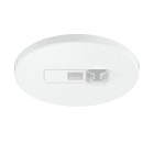 Steinel - Détecteur de présence IR Micro DALI-2 IPD Blanc portée 6x6 m