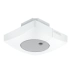 Steinel - Détecteur crépusculaire Light Sensor Dual Carré KNX V3.1 Encastré Blanc