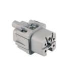 Ilme - Insert femelle 4P+T 10A 250V à visser contacts dorés - gabarit 21.21
