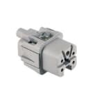 Ilme - Insert femelle 4P+T 10A 250V à visser contacts dorés - gabarit 21.21
