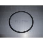 Astralpool - JOINT TORIQ.PREFIL.ASTRAL GLAS