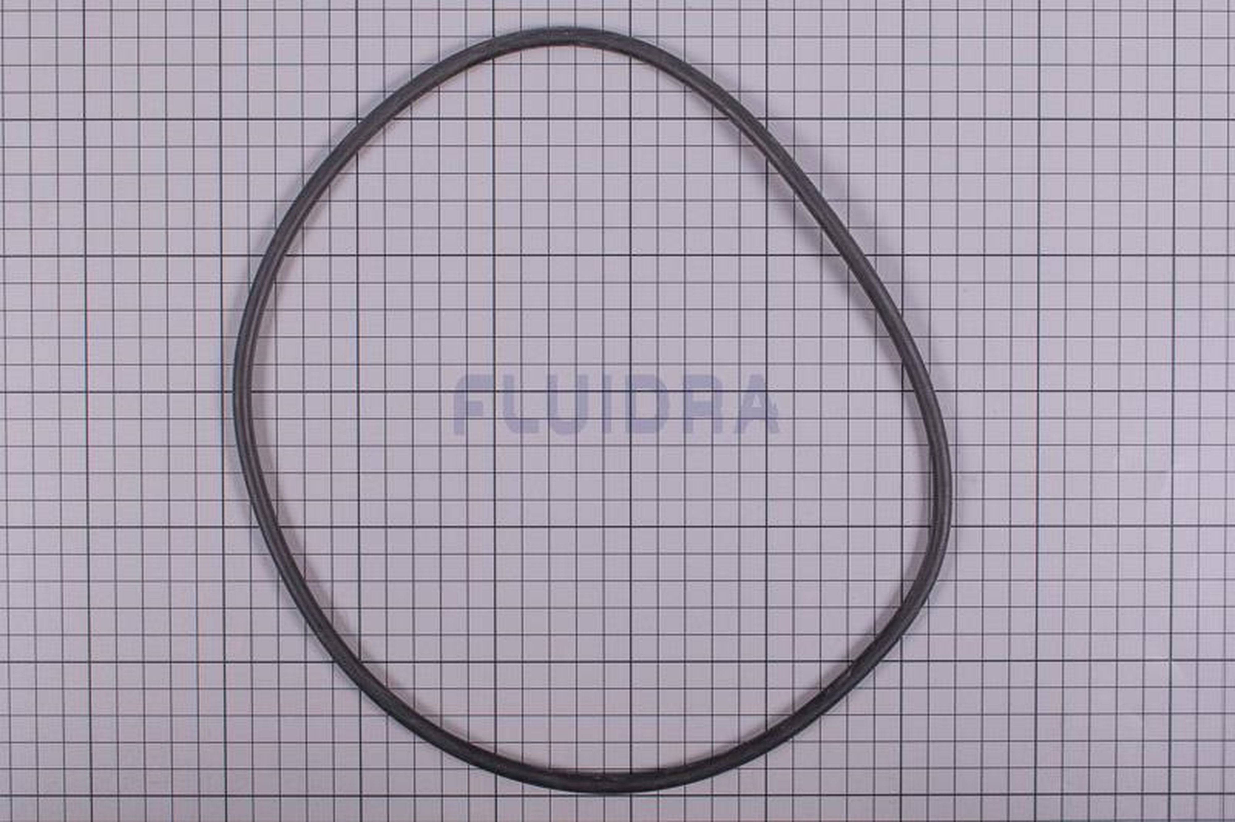 Astralpool - JOINT TORIQUE CORPS