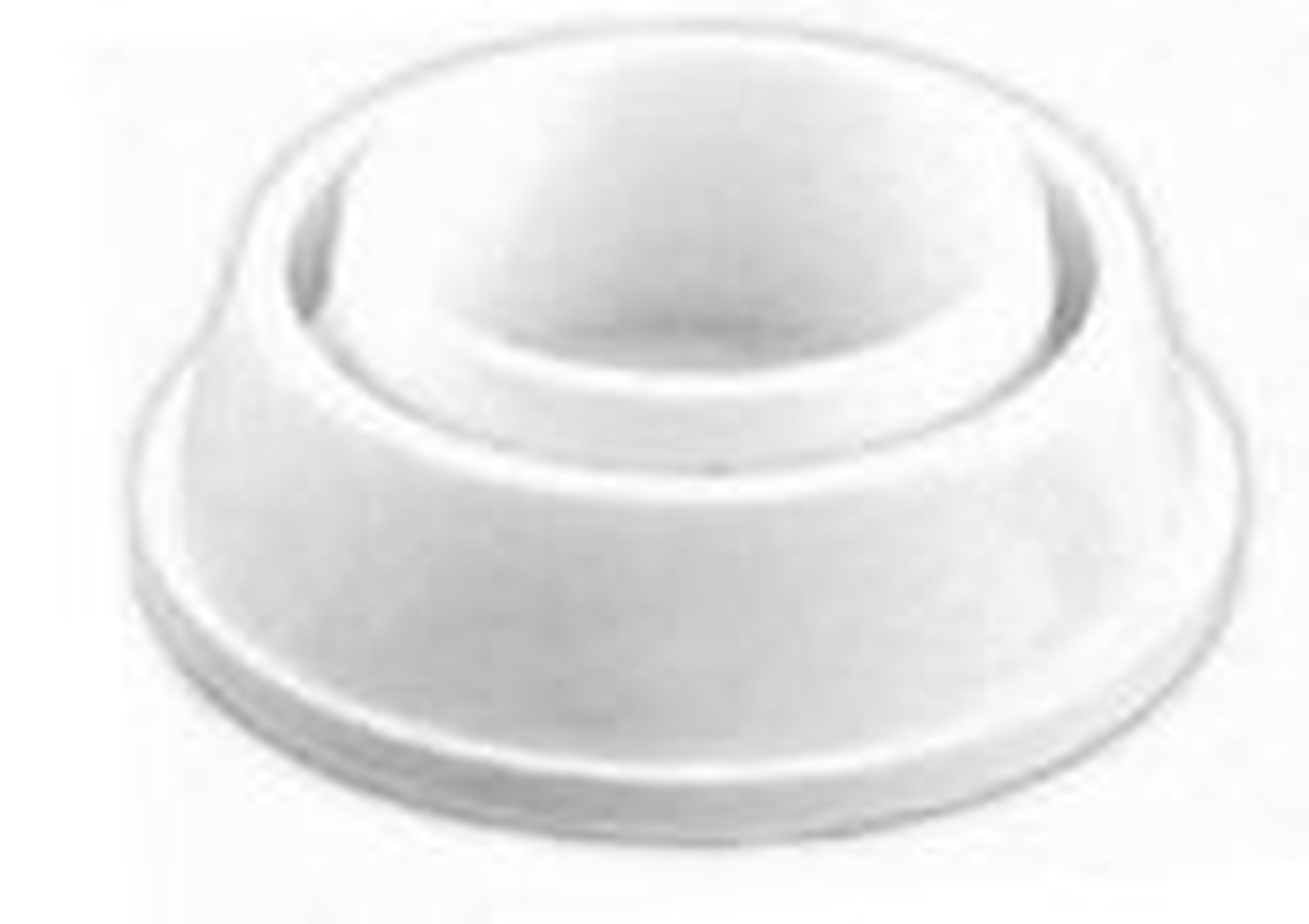 Astralpool - Tampon Echelle Articule D.43mm Liner vendu par 2