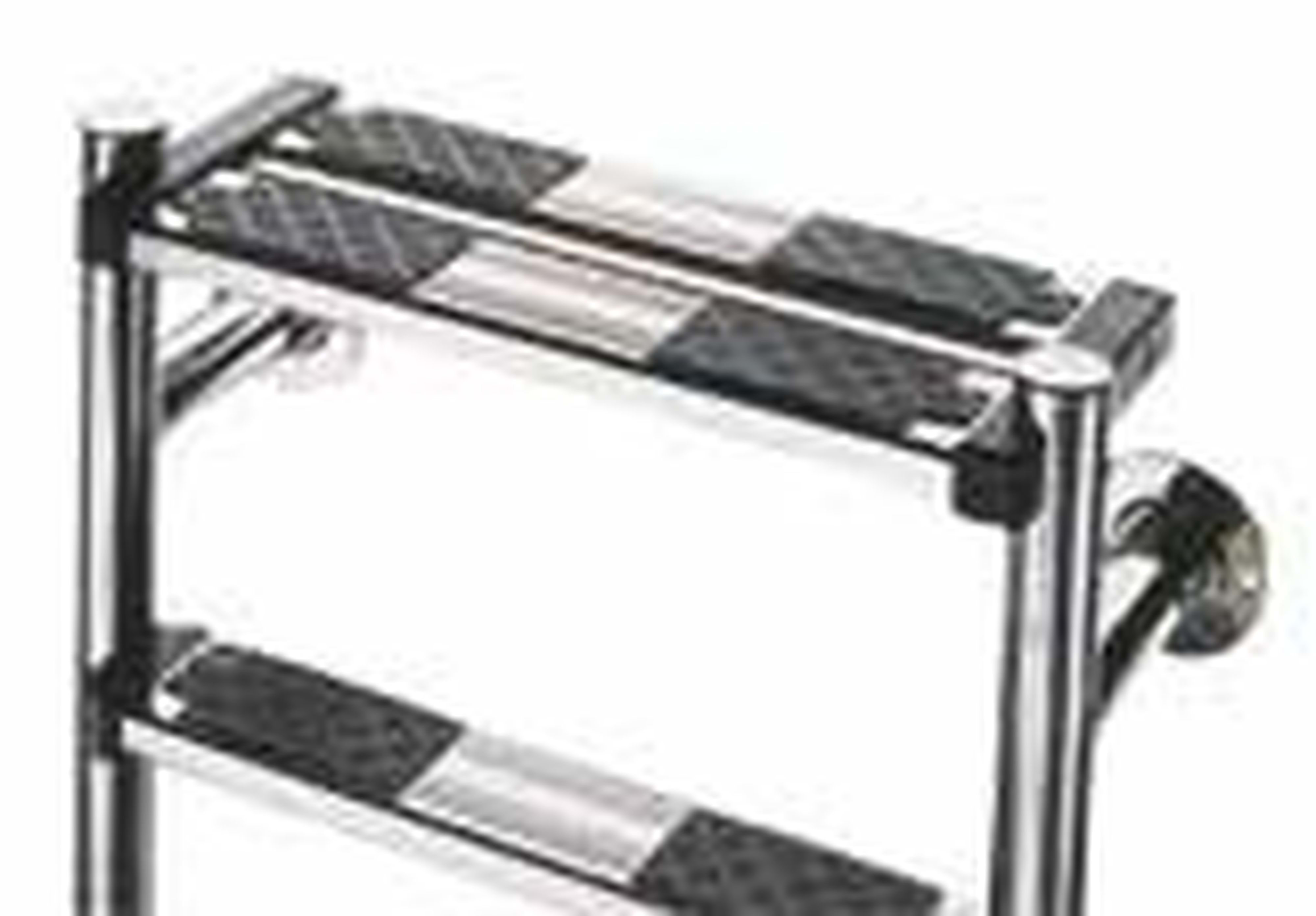 Astralpool - ECHELLE IMMERGEE AVEC MARCHE SECURITE 2 MARCHES D.43mm