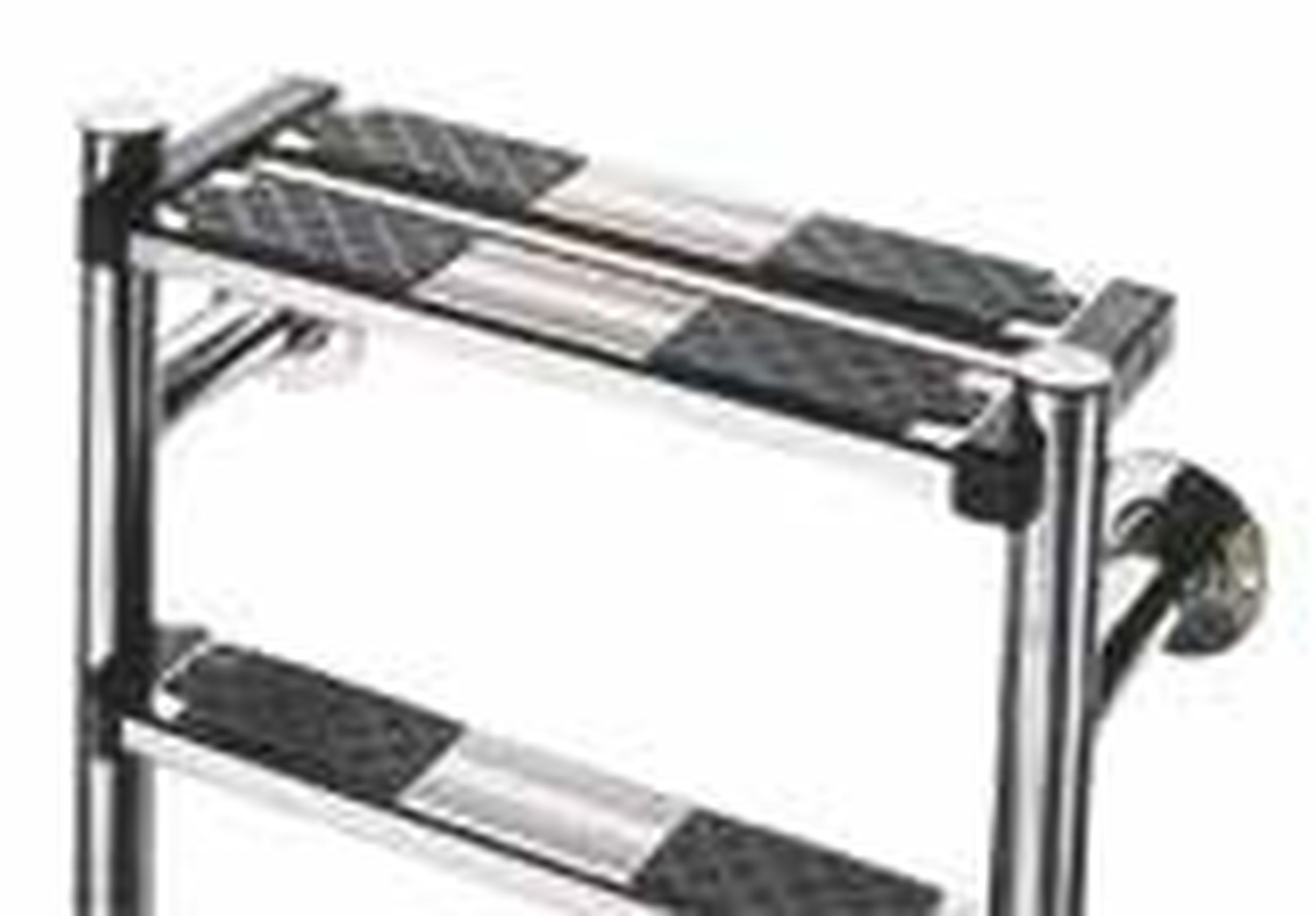 Astralpool - ECHELLE IMMERGEE AVEC MARCHE SECURITE 5 MARCHES D.43mm