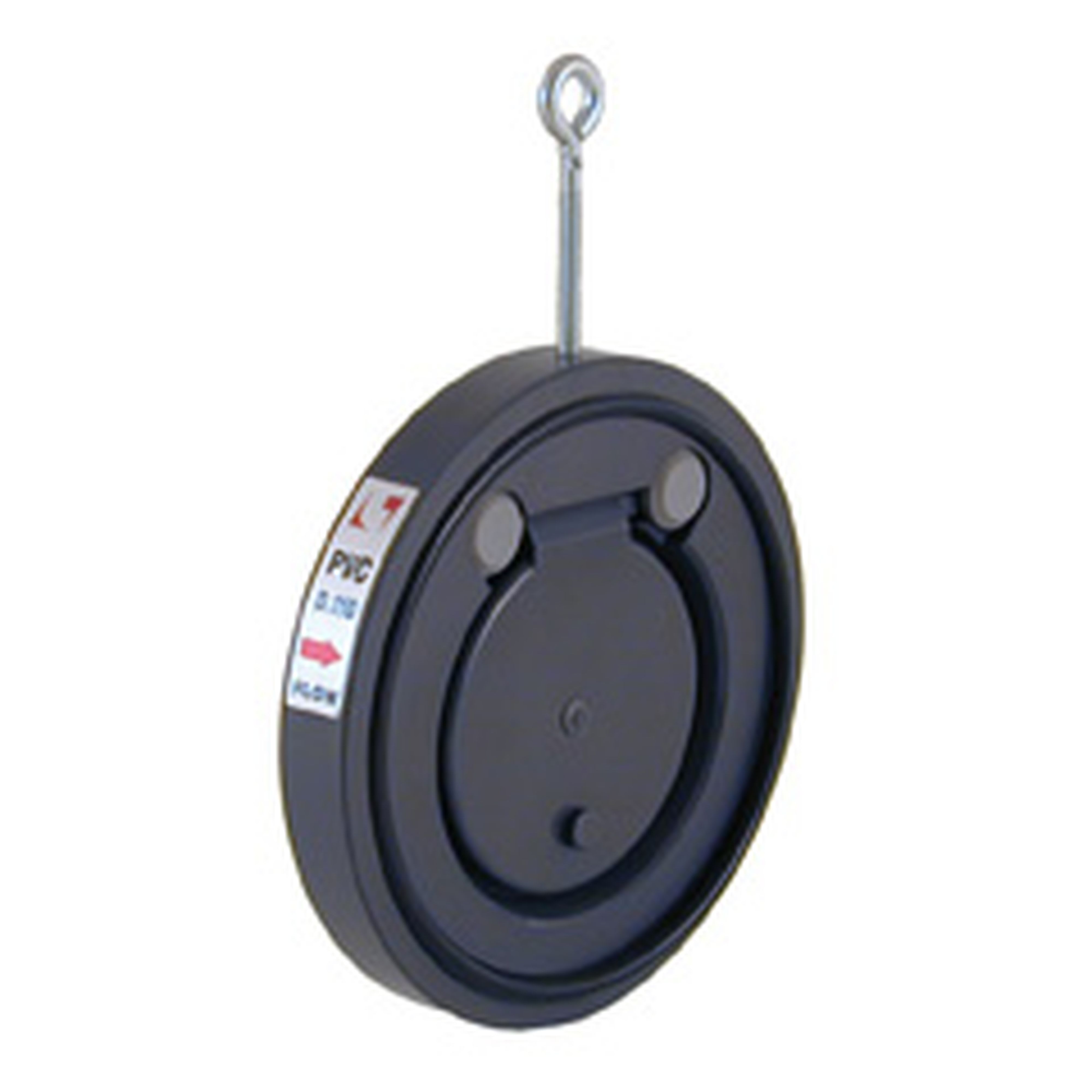 Astralpool - Clap.Anti-Ret.Battant Pvc 110