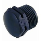 Astralpool - Bouchon Mâle À Visser 1"