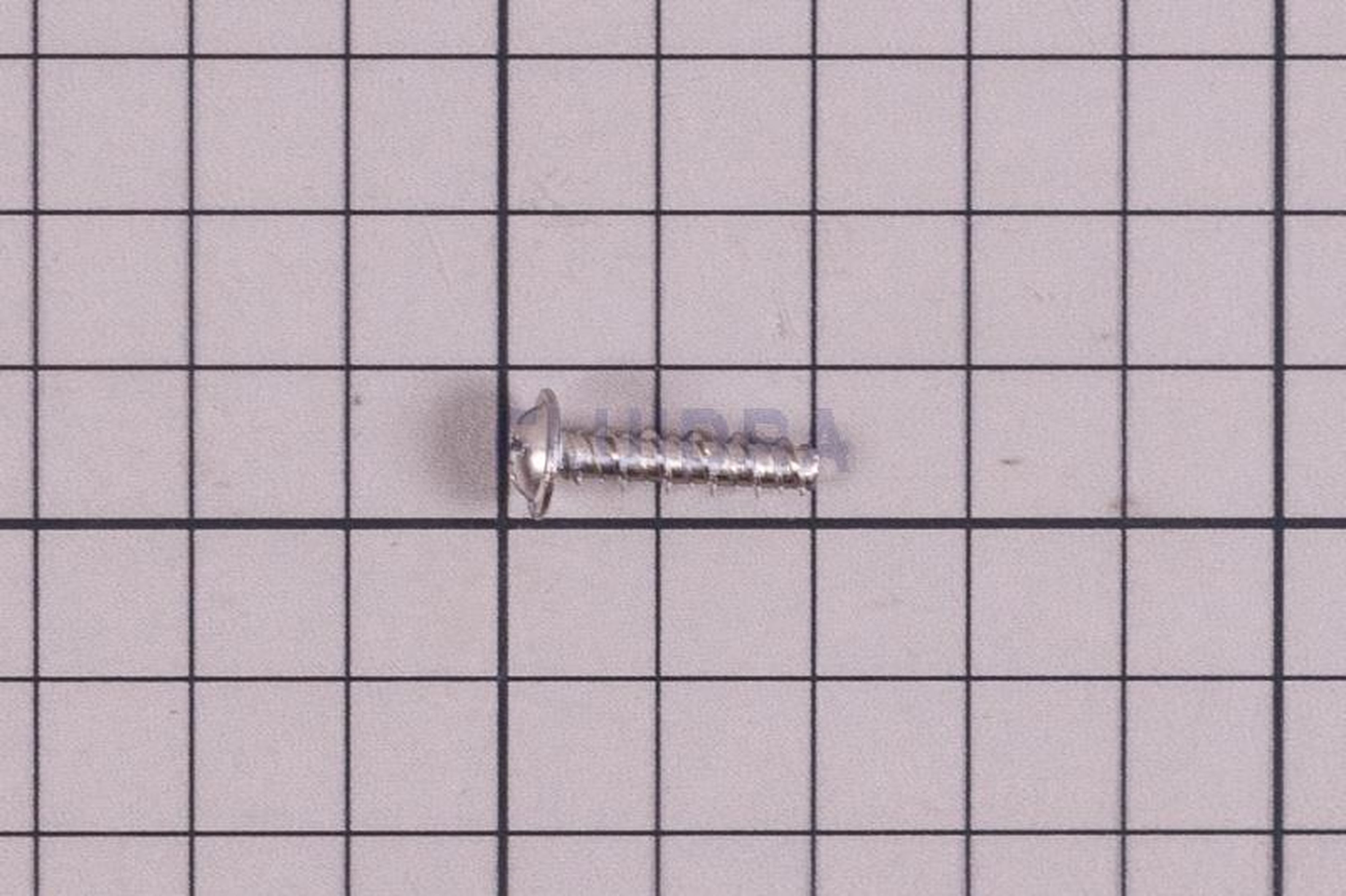 Astralpool - VIS DE FLASQUE