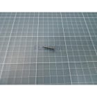 Astralpool - VIS FIXATION MOTEUR POMPE