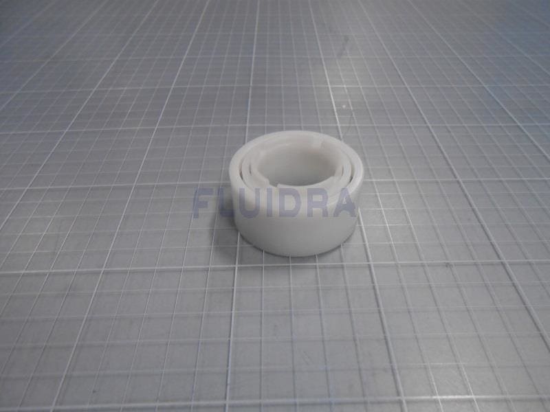 Astralpool - ROUE GUIDE DOLPHIN   - 3884997